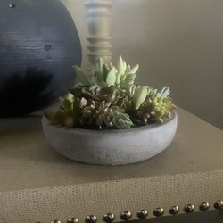 Small Ceramic Succulent Arrangement 