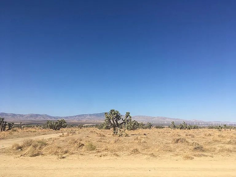 Heavy Agricultural Open To Best Offer