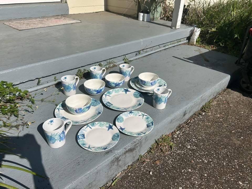 Dish set