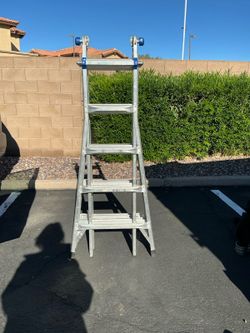 Warner Mt22 Multi Ladder