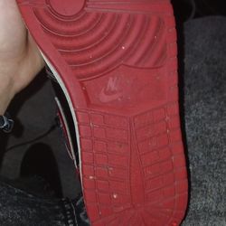 Jordan 1 Patent Breds