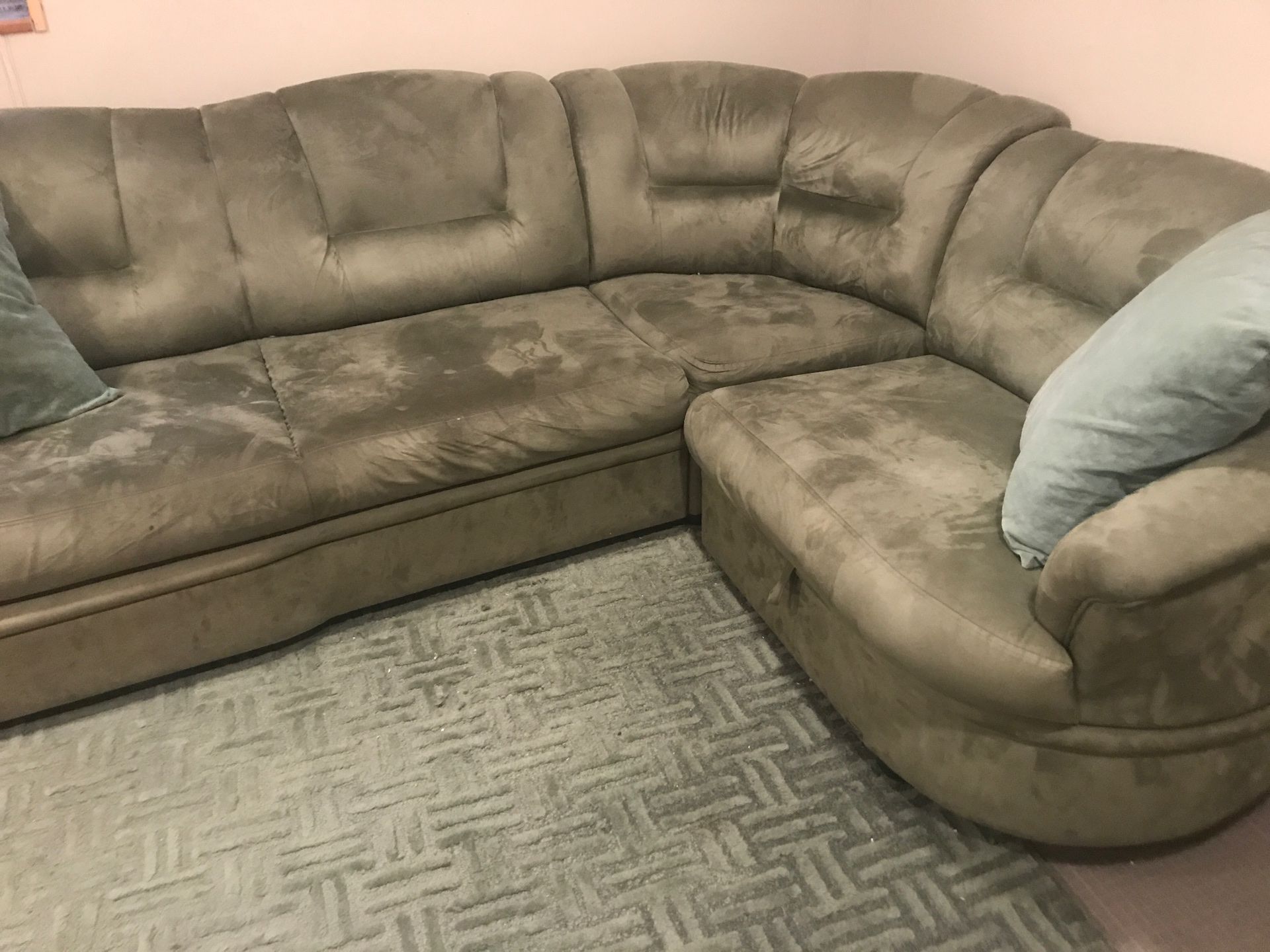 Free sage sectional and rug
