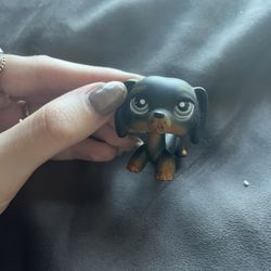 lps dachshund