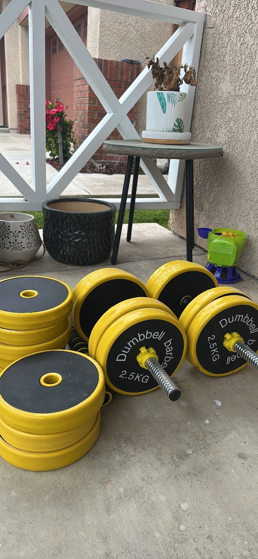 Dumbbells Set