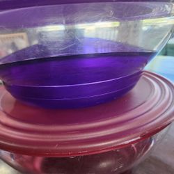 Tupperware Sheerly Elegant Large Storage Bowls 