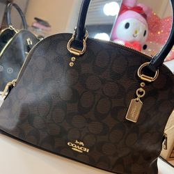 Coach Bag 