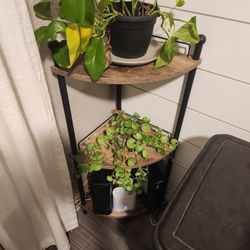 corner shelf 