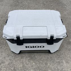 Igloo Cooler