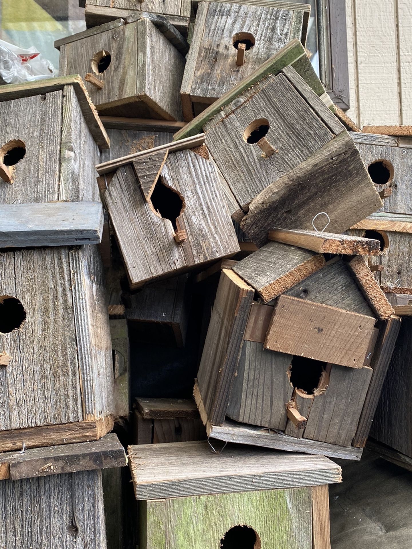 Bird House