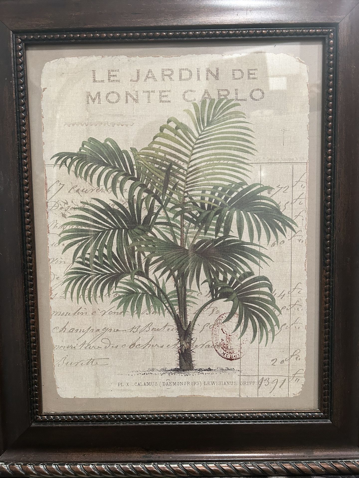 Palm Poster Picture 15x18
