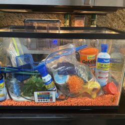 Fish Tank With All The Accessories You Need