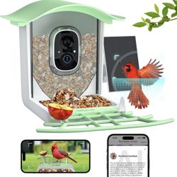Birdfy Feeder 