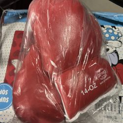 15 Dollars Boxing Gloves Set Of Two Adults