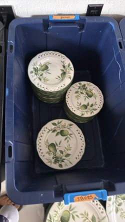 Beautiful Italian Dish set