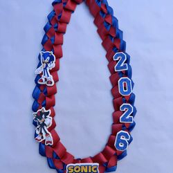 Sonic graduation leí