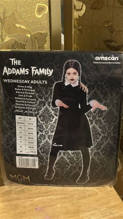Wednesday adult costume, the Addams family