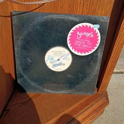 DIVINYLS "BACK TO THE WALL" VINYL 12" LP SINGLE (1988)