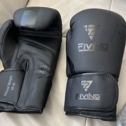 Boxing Gloves 