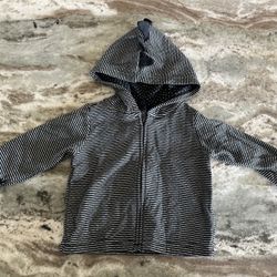 Dinosaur Zip Up 