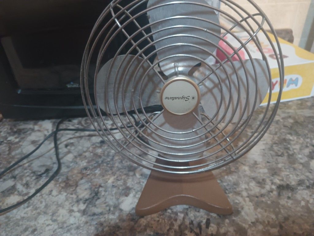 Fan