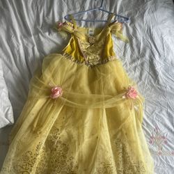 Disney Princess Dress 