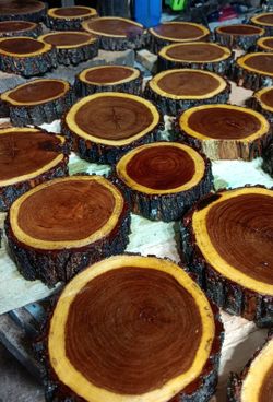 Wood Coasters