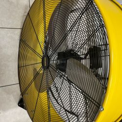 Fan