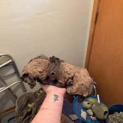 Aquarium Driftwood