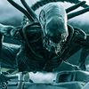 Area51resident