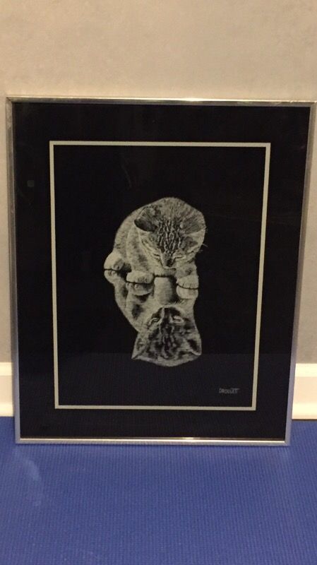 Rudy Droguett, Kitten on Mirror, vintage, framed