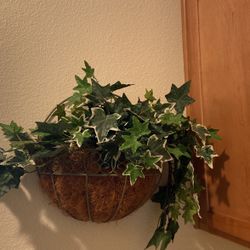 Wall Basket W Fake ivy Plant