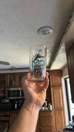 Florida Marlins Inaugural Year Glass