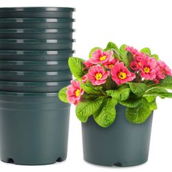 Flower Pots 10 Pack 4 inch Plastic Planters with Multiple Drainage Holes