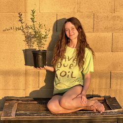 Grenada Pomegranate (1 Gal) 