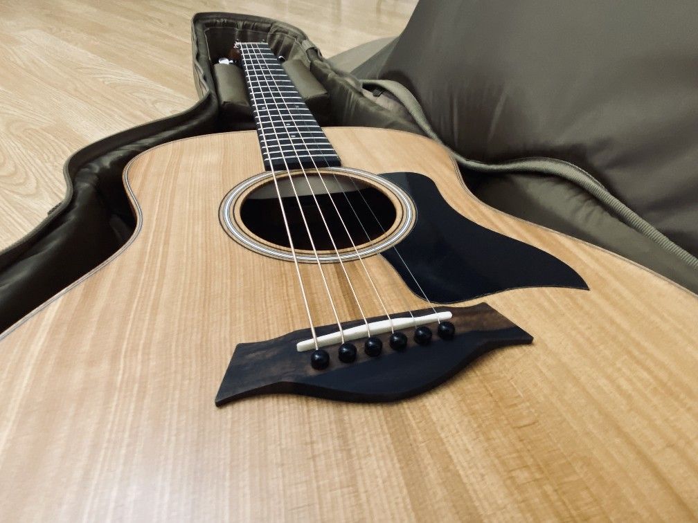 Brand New 2023 Taylor GS Mini Sapele