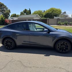 2020 Tesla Model Y