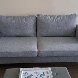 Price Very Negotiable - Sofa Couch