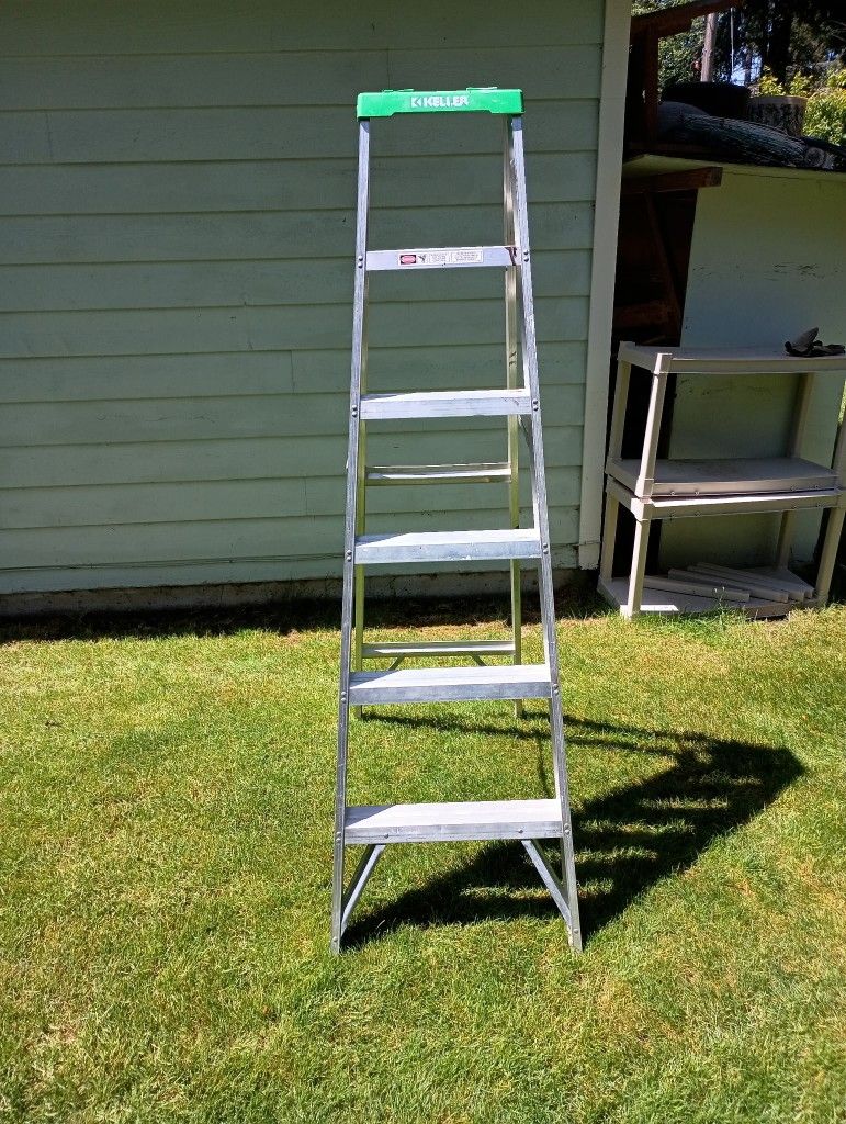 Ladder 6 Ft