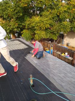 Roof Shingles