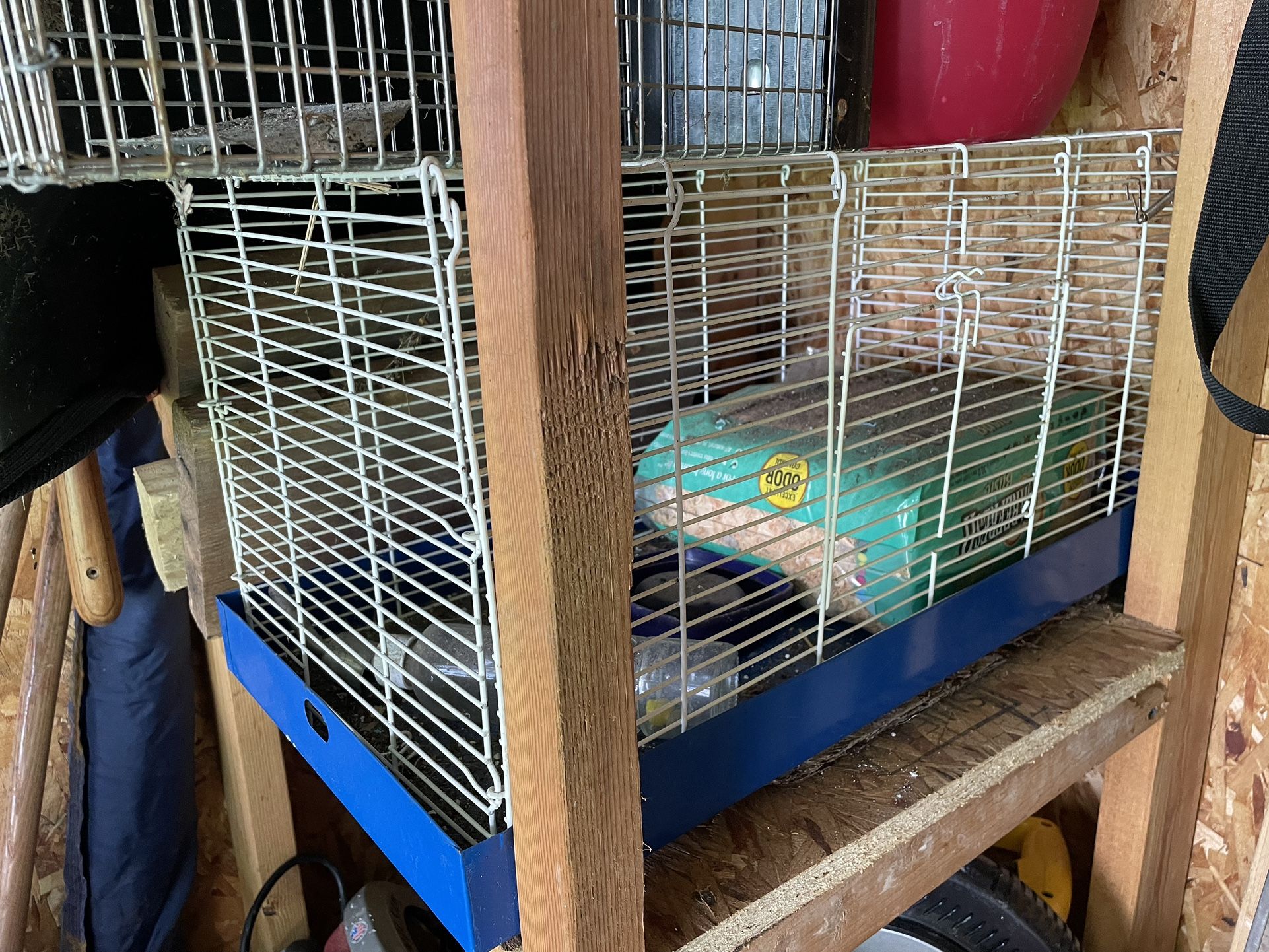 Guinea Pig Cage