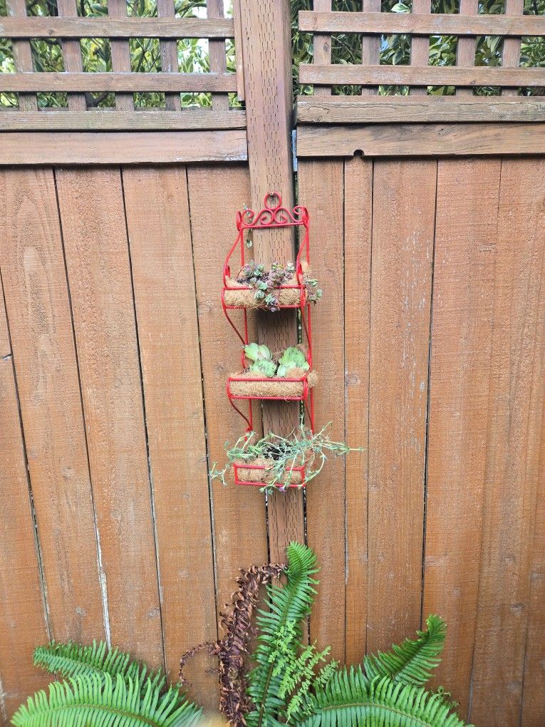 Hanging Succulents Planter