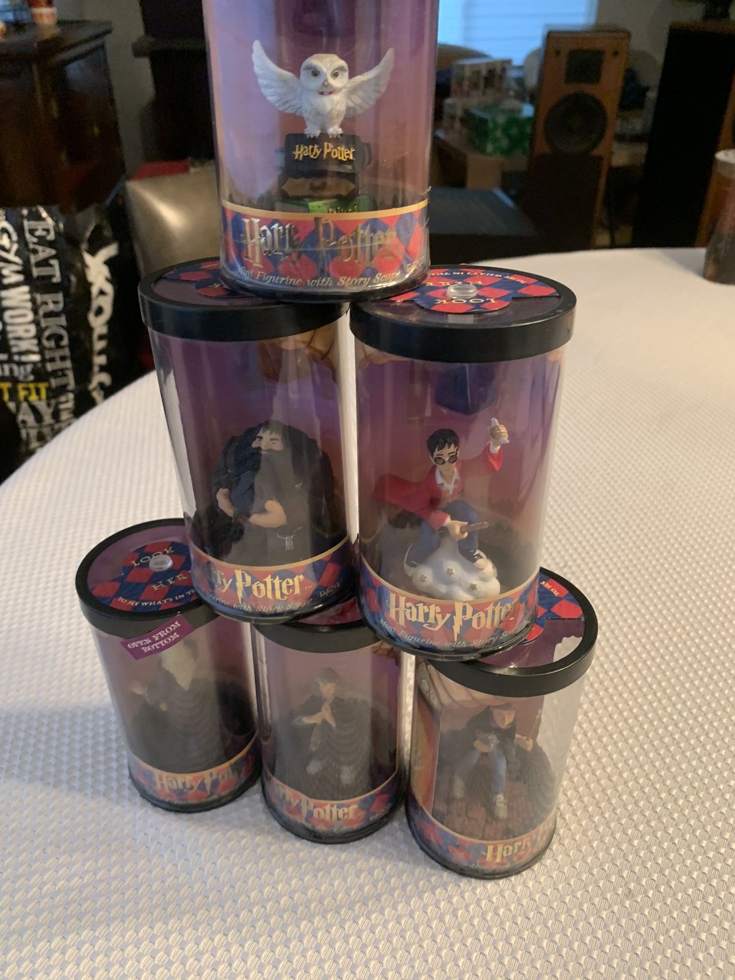 Harry Potter Collectibles
