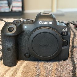 Canon Body And Lenses. R6 Body. RF 70-200 2.8. EF 100-400 , Tamron 24-70 2.8. Canon EF-RF Adapter