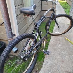 Sterling beach cruiser new arrivals