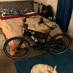 Electric Bike , New Battery 