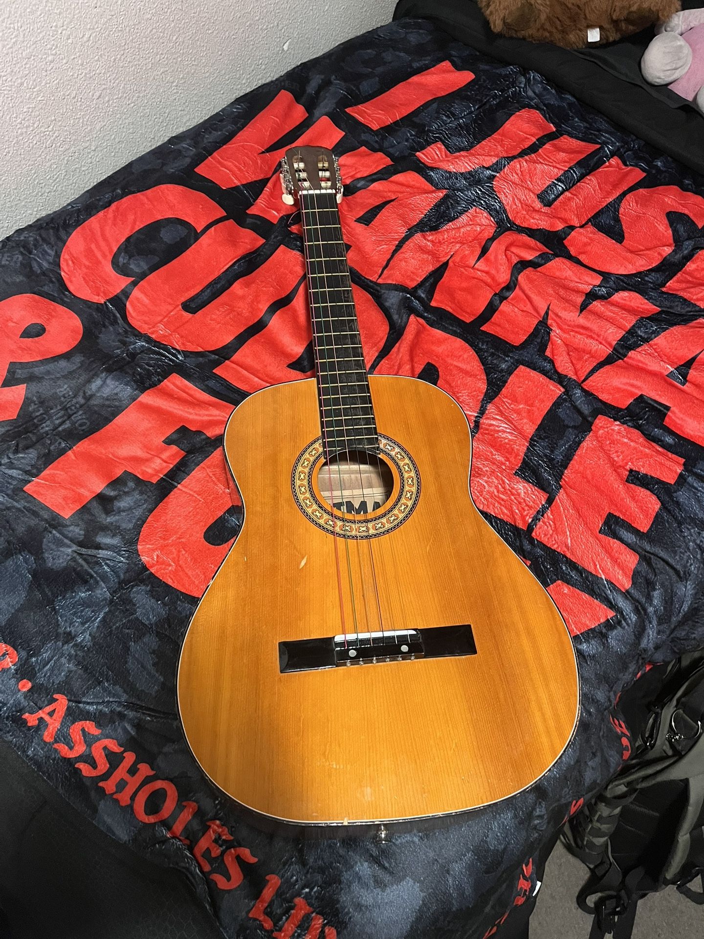 Acoustic Guitar