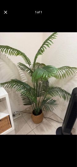 Faux Palm