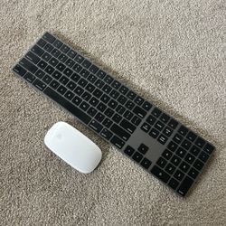 Apple Mouse And Keyboard 
