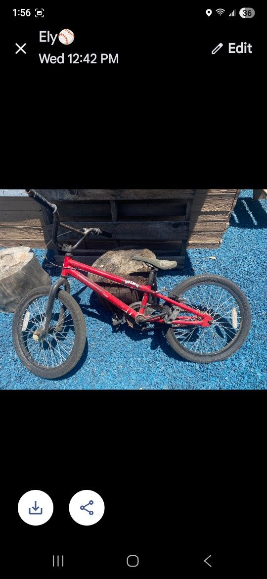 20in Matt Hoffman Bike