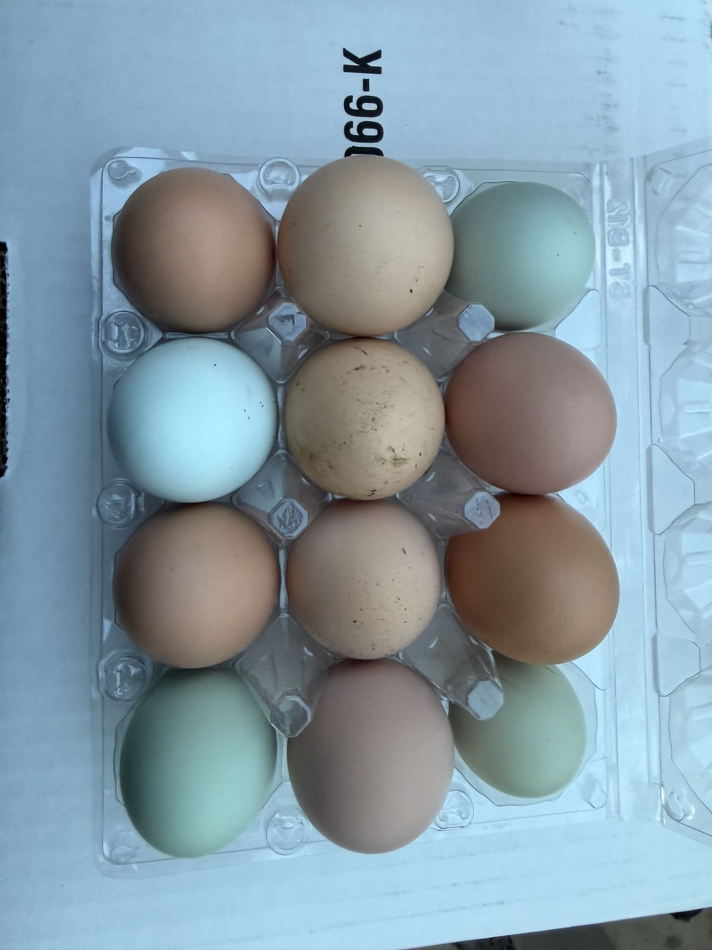 Farm Fresh Eggs 1 Doz